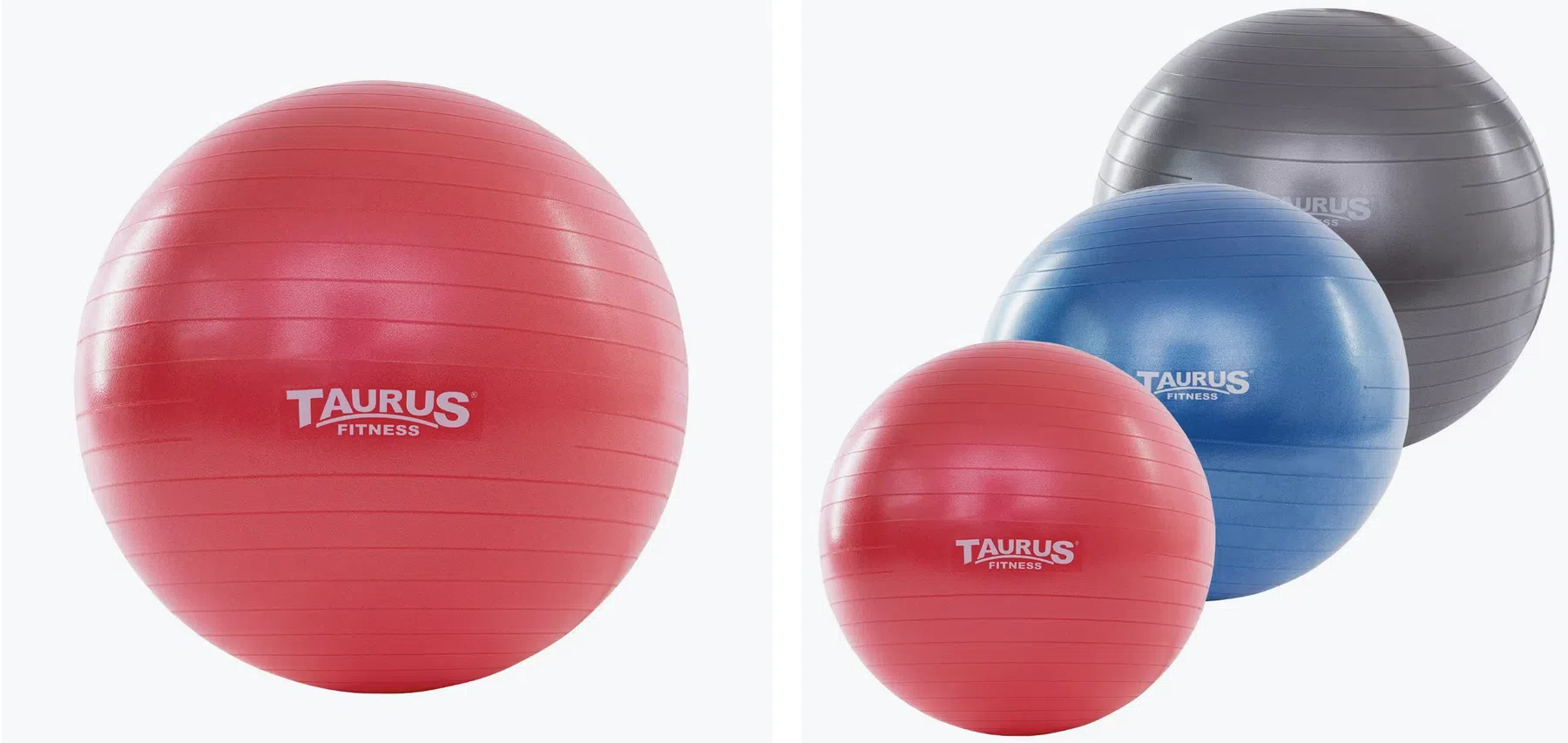 Taurus Gymbal anti-burst (Decathlon)